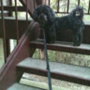 Meet your Posher, Frederick